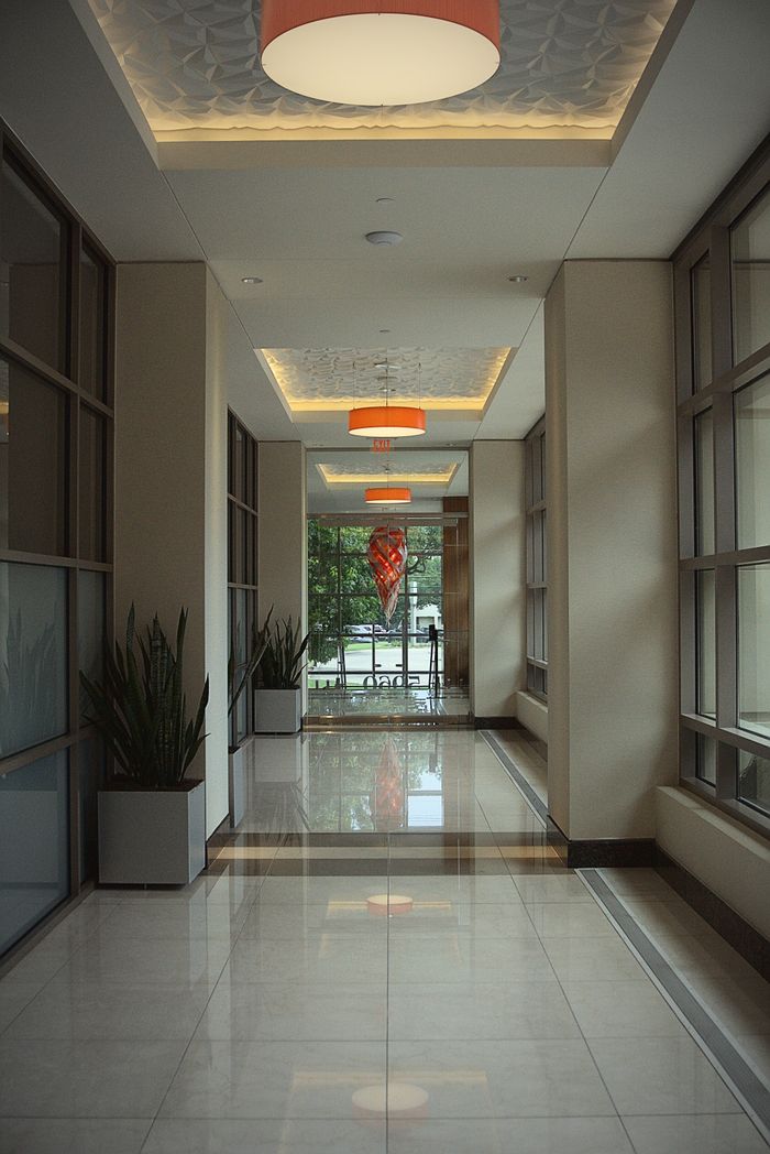 Sleek office hallway featuring natural light and elegant decor with indoor plants.